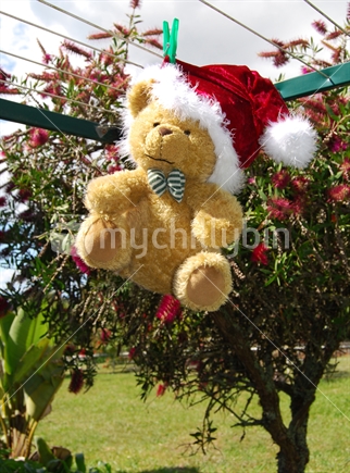 Santa Teddy - Get ready for Summer Christmas in New Zealand.