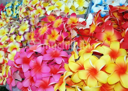 Artificial Frangipani Flowers at festival in Auckland, New Zealand