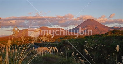 Mt Tongariro and Mt Ngauruhoe at sunset, Tongariro National Park , New Zealand