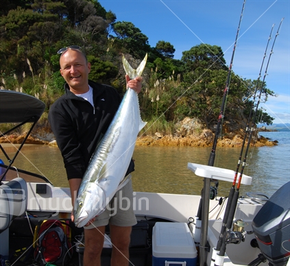Happy man holding freshly caught Kingfish, Doubtless Bay, Far North