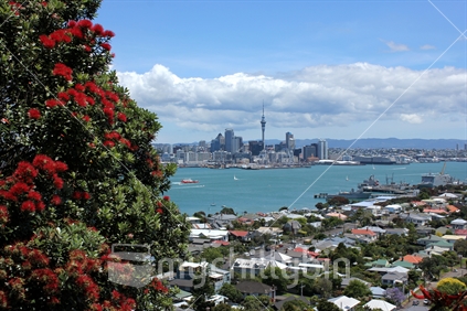 Auckland skyline from Mt Victoria, Devonport, Auckland, New Zealand