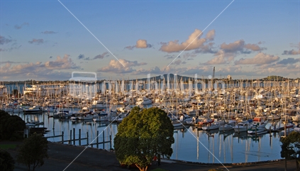 Weshaven marina at sunset with Rangitoto in the background, Auckland