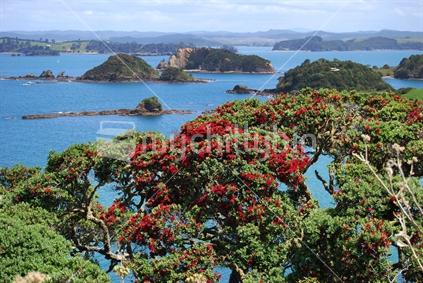 View to Kerikeri Inlet with Pohutukawa tree in the foreground