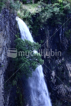 Bridal Veil falls, Raglan - 55metre falls