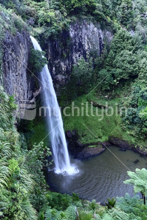 Bridal Veil falls, Raglan - 55metre falls