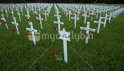 Anzac Crosses laid out at the Auckland War Memorial Museum 2017.