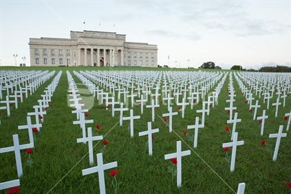 Anzac Crossess laid out at the Auckland War Memorial Museum 2017 