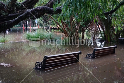 Auckland Domain Duck Pond flood  in April 2017