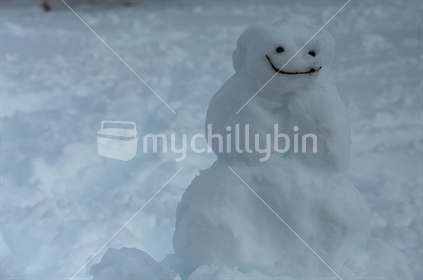 Snowman at Lake Lyndon, Canterbury