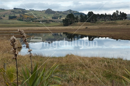 Karitane, Otago 