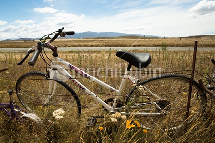 An old bike left on the roadside near the Clyde Rail Trail 