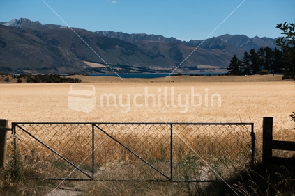 Drought conditions near Hawea in Central Otago