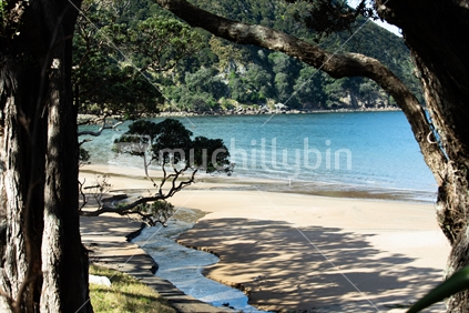 Secluded Coromandel beach  - Matapaua, Opito (distant focus)
