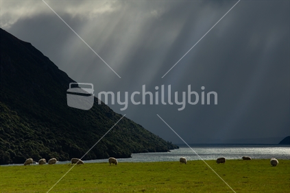 Storm Coming soon to Kingston, on the Southern Shores of Lake Wakatipu 