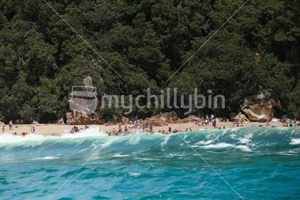 Hotwater Beach, Coromandel, swimmer, people, swimming, bush,  