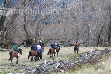 Horse trekking is very popular; Dart River, Glenorchy area, near Queenstown.