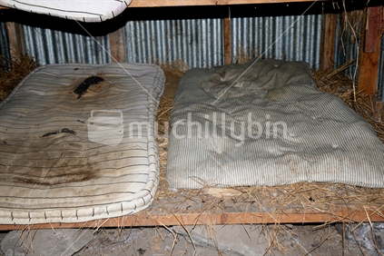 Old mattresses in farm shed 