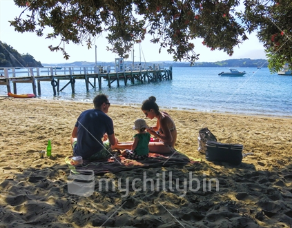 Family picnicing at Vivian Bay, Kawau Island underthe Pohutukawa trees.