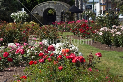 Parnel Rose Gardens, Auckland showing the main gateway in the distance.