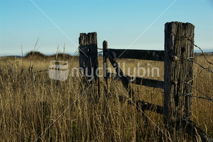 Old gate and posts, Canterbury, New Zealand