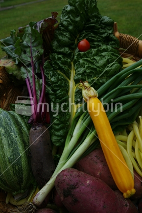 5+ a day; New Zealand fresh summer vegetables