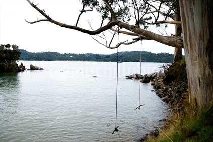 Rope swings over the water, Stewart Island, New Zealand.