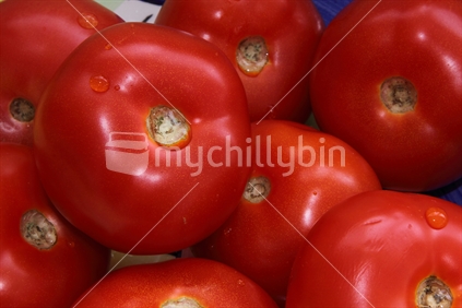 Close up of tomatoes