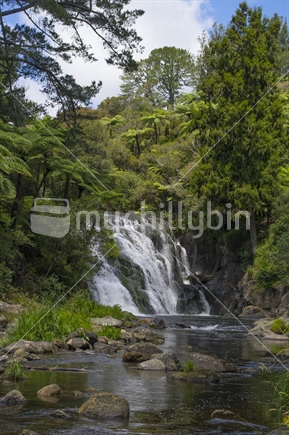 Waterfall in bush