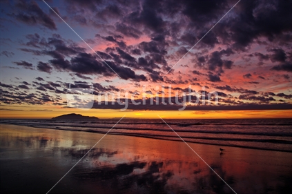 A beautiful sunset at Otaki Beach looking out over Kapiti Island to the South Island beyond. A lone seagull watches the glory of the setting sun