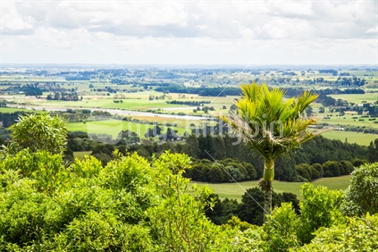 Aerial view of Palmerston North city and surrounds