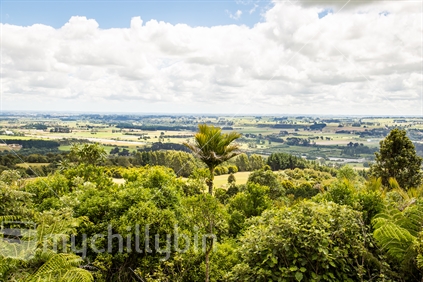 Aerial view of Palmerston North city and surrounds