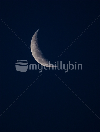 Quarter moon in the night sky