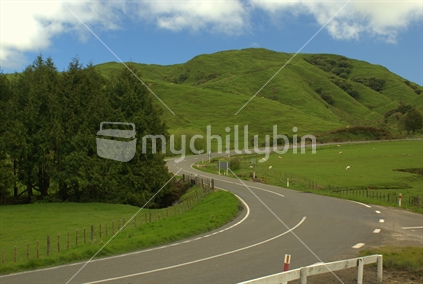 Winding country road in the Tararuas