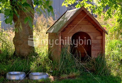 Dog kennel & bowls in the shade; New Zealand summertime.