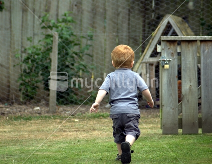 A little New Zealand boy running away