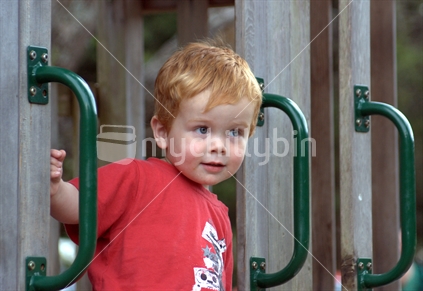 A small boy in the playground
