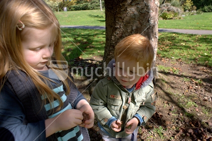 Children exploring under a chestnut tree