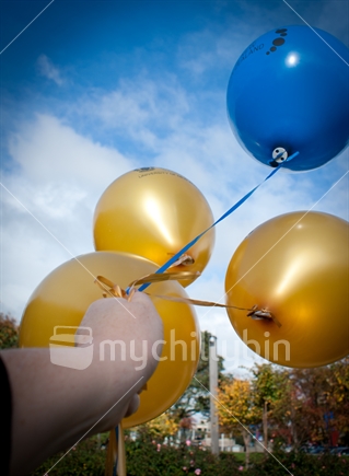 Balloons at university Graduation time in Palmerston North, NZ.   