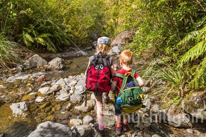 A young girl and boy navigate a creek bed in the New Zealand bush