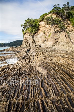 Rugged patterned rocks at Ohope Beach, New Zealand