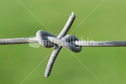 No.8 wire with figure of eight knot