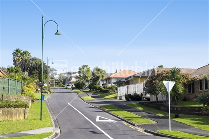 Generic view of a pleasant modern suburban street.