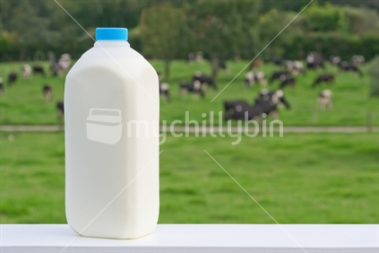 Milk bottle on a handrail, with a herd of dairy cows in the background.