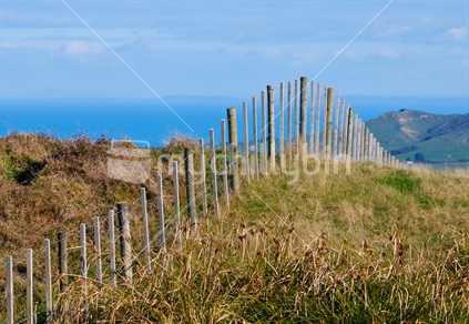  Fence line over brow of a hill, on a coastal New Zealand farm.