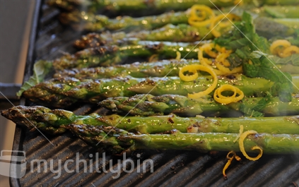 Asparagus spears on grill plate