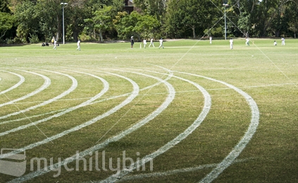 Weekend Cricket and running track, Kohimarama