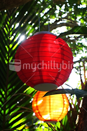 Lanterns in tree