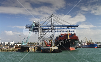 Container cranes lined up