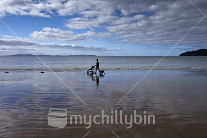 Father with Pram and dog on beach
