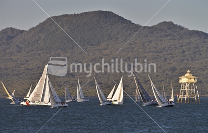 Yachts race around Bean Rock, with Rangitoto Island behind, Auckland